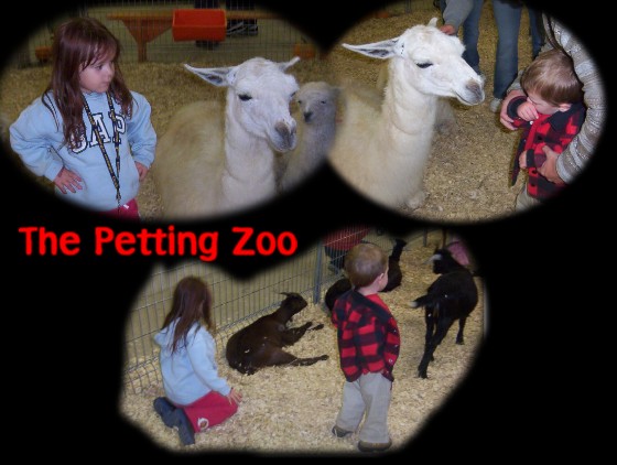 The Little Ones really loved the animals